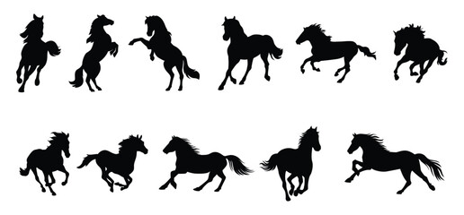 Set silhouette of horse isolated on white background.
