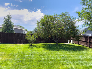 Backyard with green lawn and mature trees