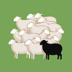 Flock of numerous white sheep with a single black sheep standing in the front row as a symbol of individuality on a green background.