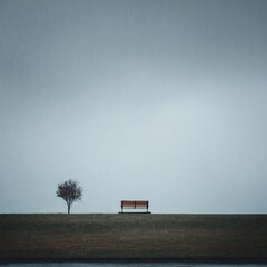 Empty Park Bench and Lone Tree on Grassy Hill in Heavy Rain with Overcast Sky