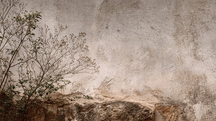 Rustic background of a weathered stone and plaster wall with a wild plant