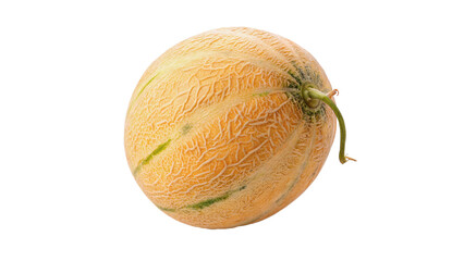 Obraz premium Fresh melon with orange skin and green stripes isolated on transparent background