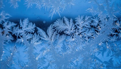 Intricate frost patterns on a blue background, creating a frosty winter scene.