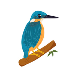 Kingfisher bird sitting on a branch. Cute childrens animal illustration isolated on the white background. Cartoon wild bird for nature, wildlife and educational design.