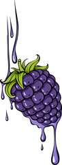 Juicy blackberry berry with dripping juice drops. Close-up view. Summer berries. Organic food. Simple vector color illustration with outline in hand drawn style isolated on white
