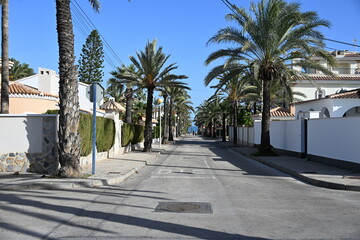 Empty street in Spain lined with palm trees and residential houses on sunny day

