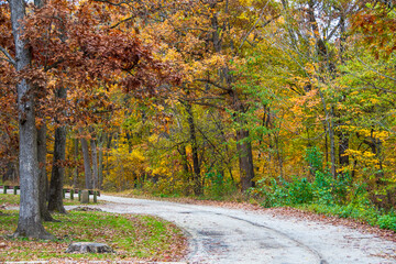 A beautiful park autumn view in Chicago City
