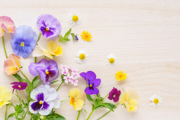 春の花のフラワーフレーム