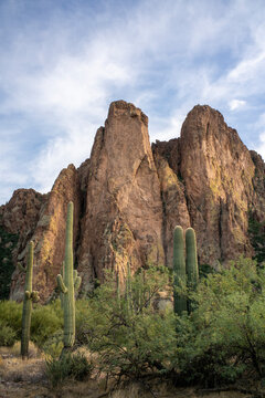 Rugged mountainous landscape and saguaro cactus vertical