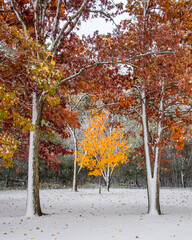Prairie Lakes Park in Des Plaines Town of Illinois