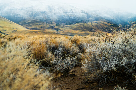 Oregon high desert with sagebrush and snow covered mountains