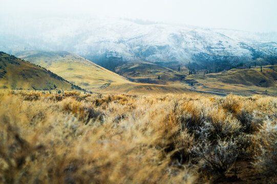 Oregon high desert sagebrush snow storm
