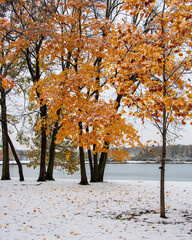 Prairie Lakes Park in Des Plaines Town of Illinois