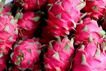 dragon fruit stock on shop for sell