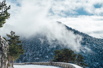 Curved snowy path with misty mountain and pine trees in winter