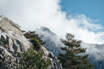 Snow-covered rocky mountain peak surrounded by clouds and pine trees