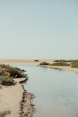 Tidal lagoon and desert landscape at Sotavento Beach, Fuerteventura