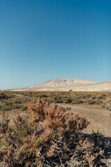 Arid landscape and mountains under clear blue sky, Fuerteventura