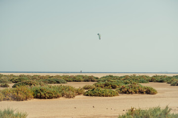 Kitesurfer training in coastal desert landscape, Sotavento Beach