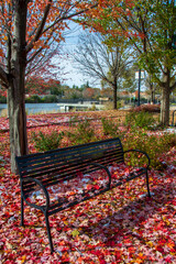 Elgin Town Park view with autumn colors in Illinois of USA