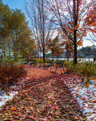 Elgin Town Park view with autumn colors in Illinois of USA