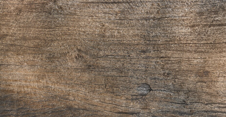 Wood background texture blank for design.