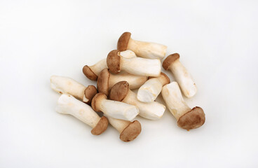 A group of fresh raw baby king oyster mushrooms (eryngii) scattered on white background, ready for cooking healthy vegetarian meals.