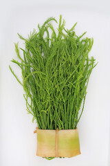 A fresh bundle of green acacia pennata (Cha-om) tied with natural banana leaf isolated on white background.