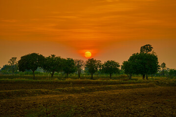 peaceful morning in rural countryside