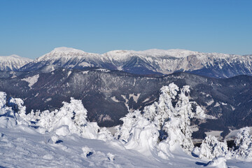 Stuhleck winter landscape viewing Rax mountain range. Snowy mountainscape with snow-covered trees and distant peaks under clear blue sky.