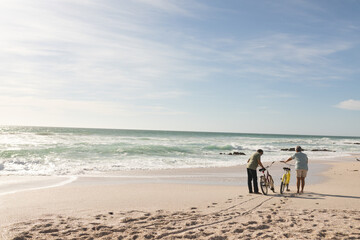 Full length of multiracial senior couple walking with bicycles on shore at beach during sunny day