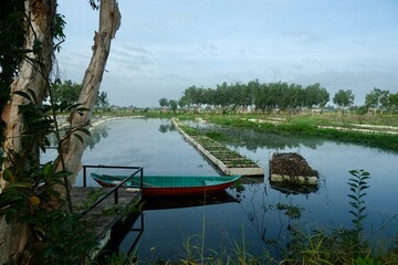 Obraz premium Moored turquoise boat floating vegetable garden rafts Vietnam mangroves river