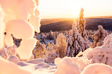 Cottages in the frozen snowy forest