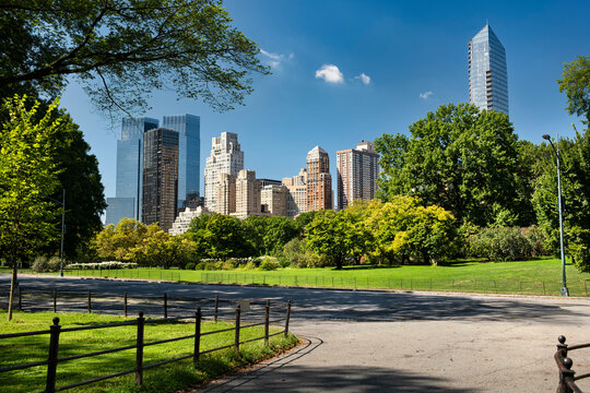 New York City Manhattan skyline view from Central Park in summer