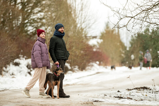 Teenage girl and man walking dog on a snowy path in winter park.