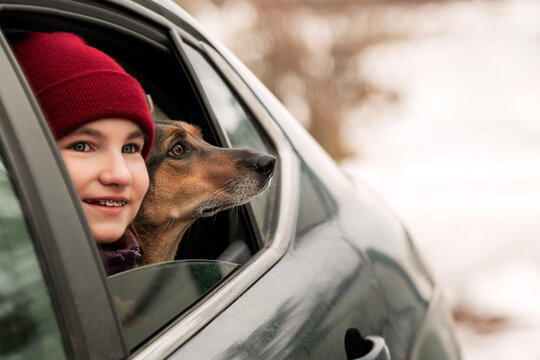 teenage girl and dog peeking out of car window during winter trip.