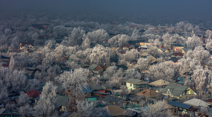 Landscape, trees, snow, kar, travel, forest, road, river, stream.
