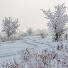 Landscape, trees, snow, kar, travel, forest, road, river, stream.