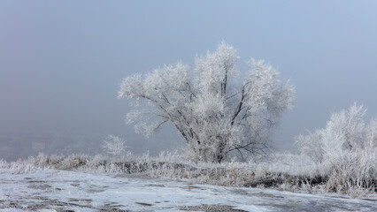 Landscape, trees, snow, kar, travel, forest, road, river, stream.