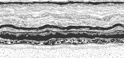 Obraz premium Detailed monochrome cross-section of geological strata with distinct layers of varying textures and patterns, showcasing natural formations