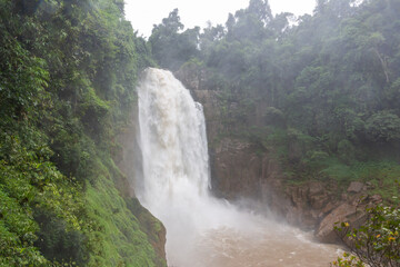 A scenic cascade of flowing water streams over mountain rocks and green forest cliffs in khaoyai National Park's natural landscape