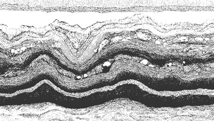 Detailed monochrome cross-section of folded geological strata with embedded pebbles and varying textures, illustrating earth's dynamic history and processes