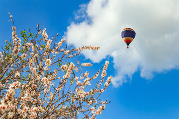 Large hot air balloon © Kushnirov Avraham