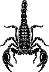 Scorpion Arachnid Top View Black and White Vector