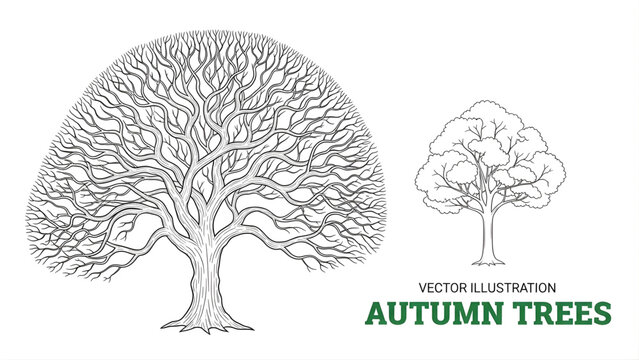 Autumn tree vector line art collection