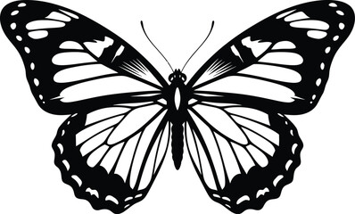 Butterfly Open Wings Black and White Vector Illustration