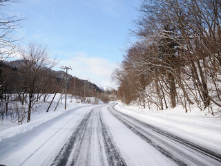 Fototapeta premium 雪道と青空の風景