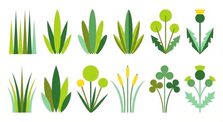 Stylized Green Plants and Grasses Vector Illustration Set