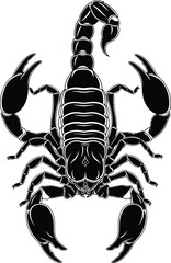 Scorpion Arachnid Black and White Vector Illustration
