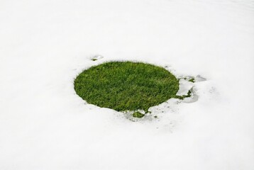 Patch of Green Grass Surrounded by Snow in Winter